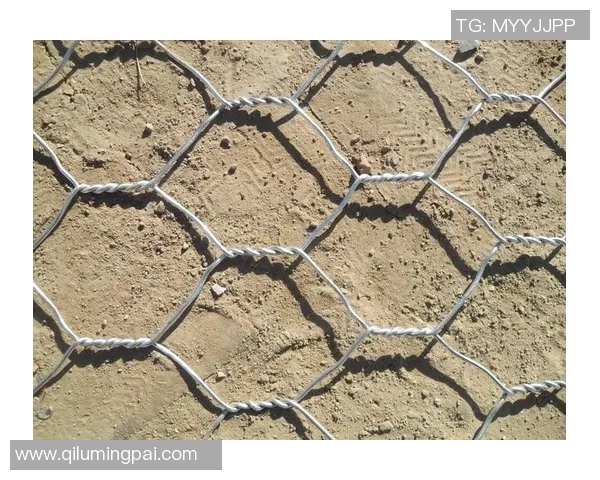 重庆极限运动队的阵地战策略深度分析与实践经验分享 重庆极限运动队的阵地战策略深度分析与实践经验分享