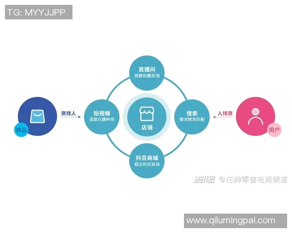 重庆飞盘队的成功运营模式与发展策略深度解析