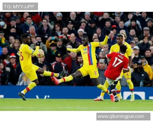 伯利恩对决富勒姆精彩赛事回顾与分析展望